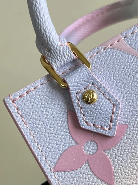 WIS PLAT PETIT VUITTON SAC LOUIS 1115